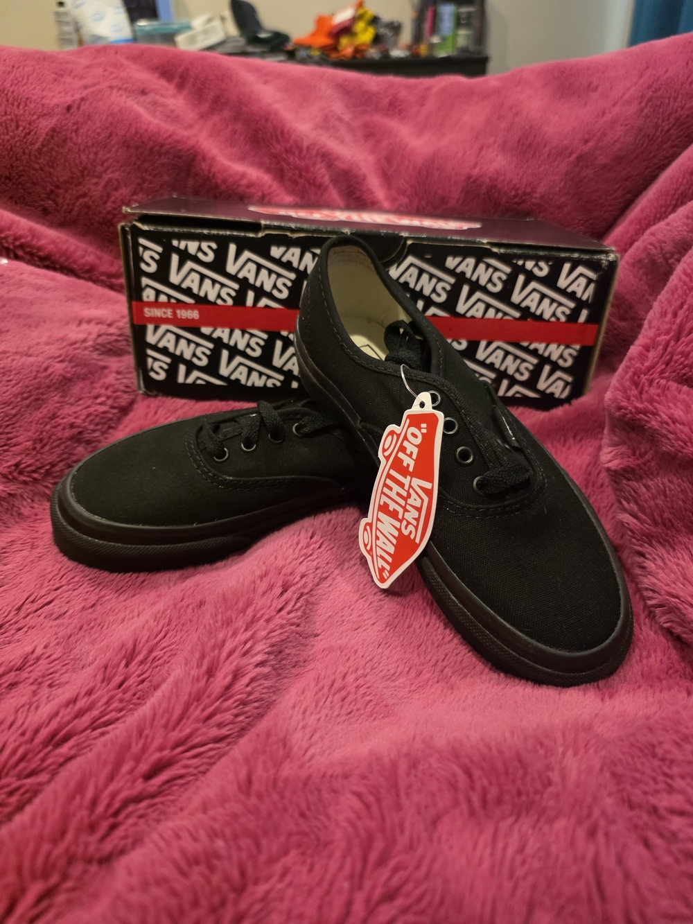 Classic Vans Authentic low-top canvas sneakers in an all-black colorway.